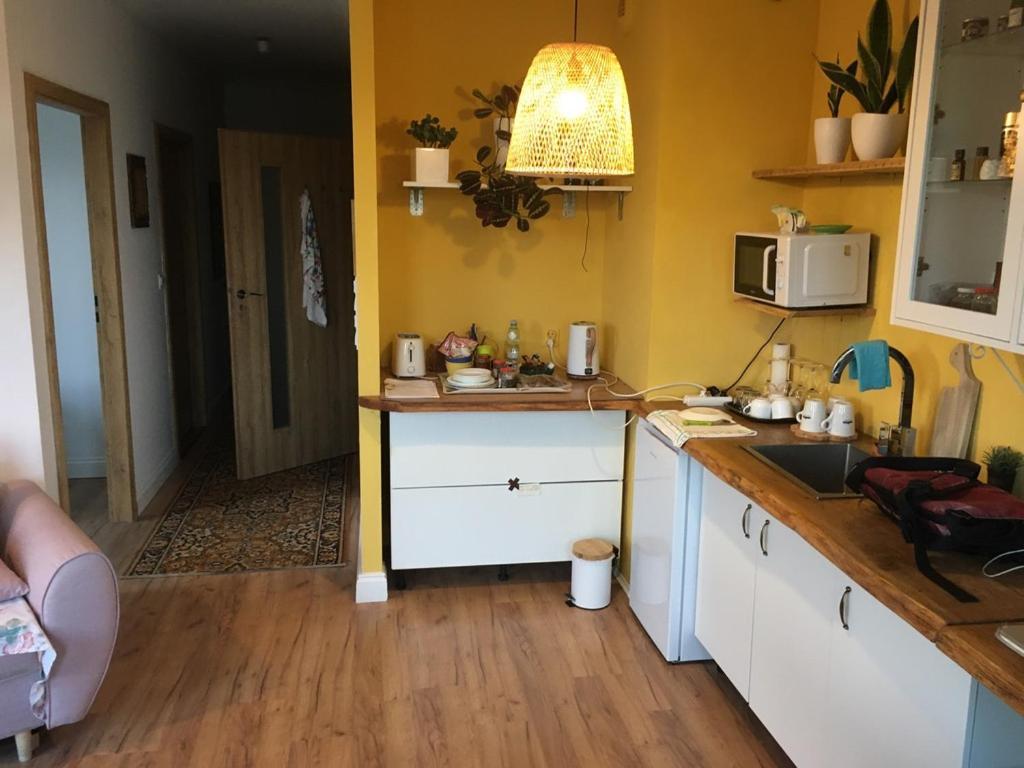 With Beautiful Views Apartment Przemyśl