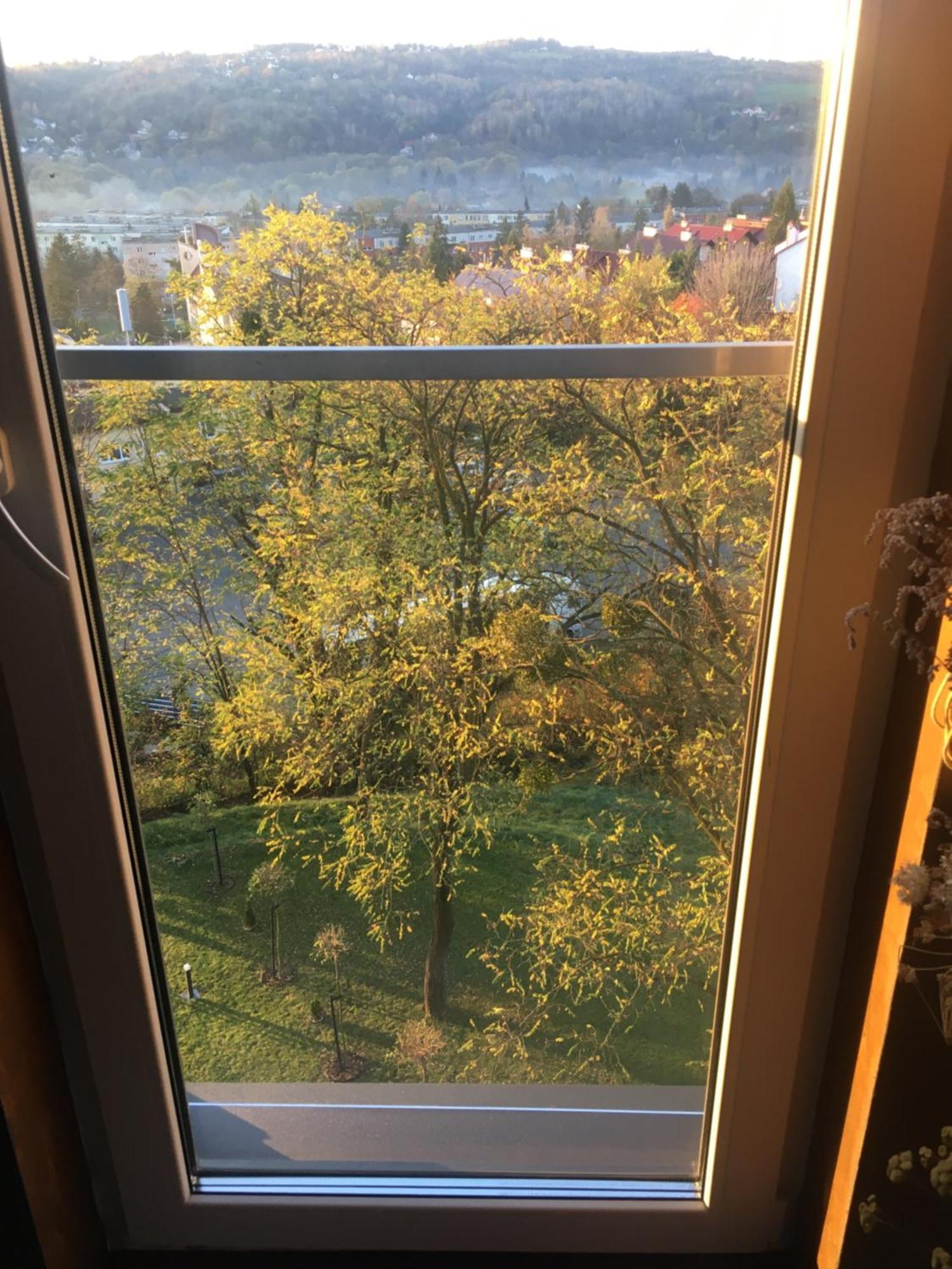With Beautiful Views