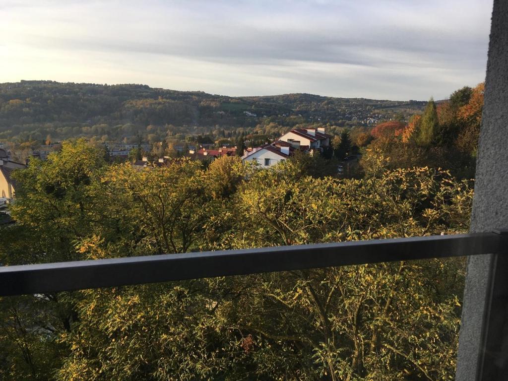 With Beautiful Views