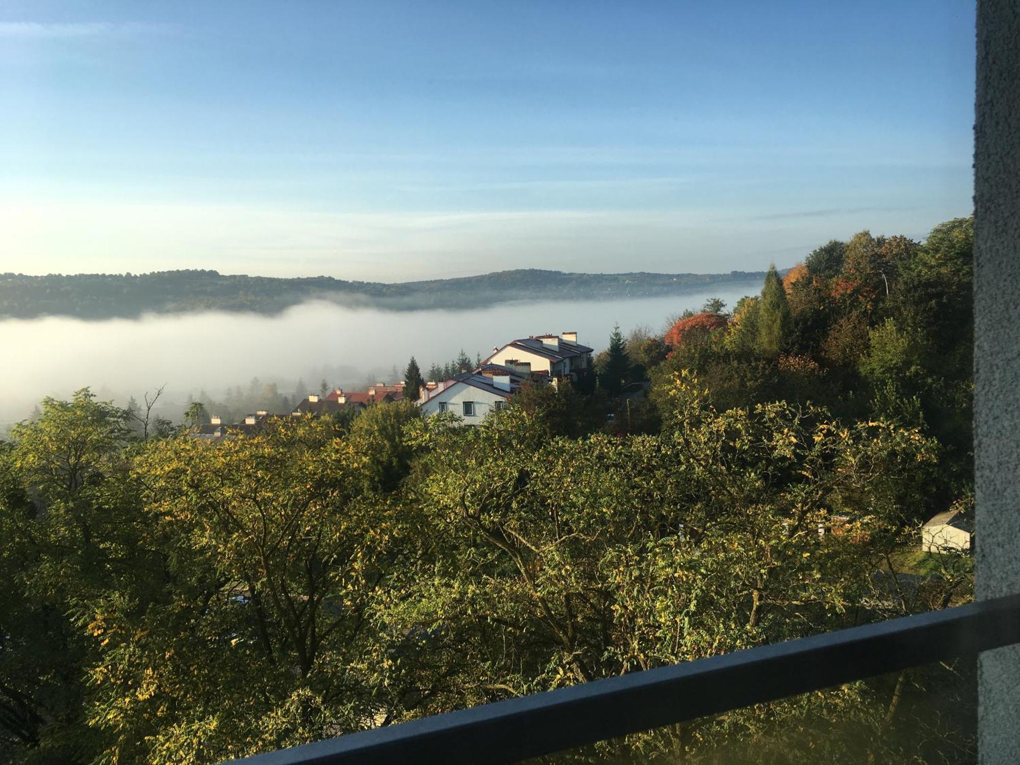 With Beautiful Views